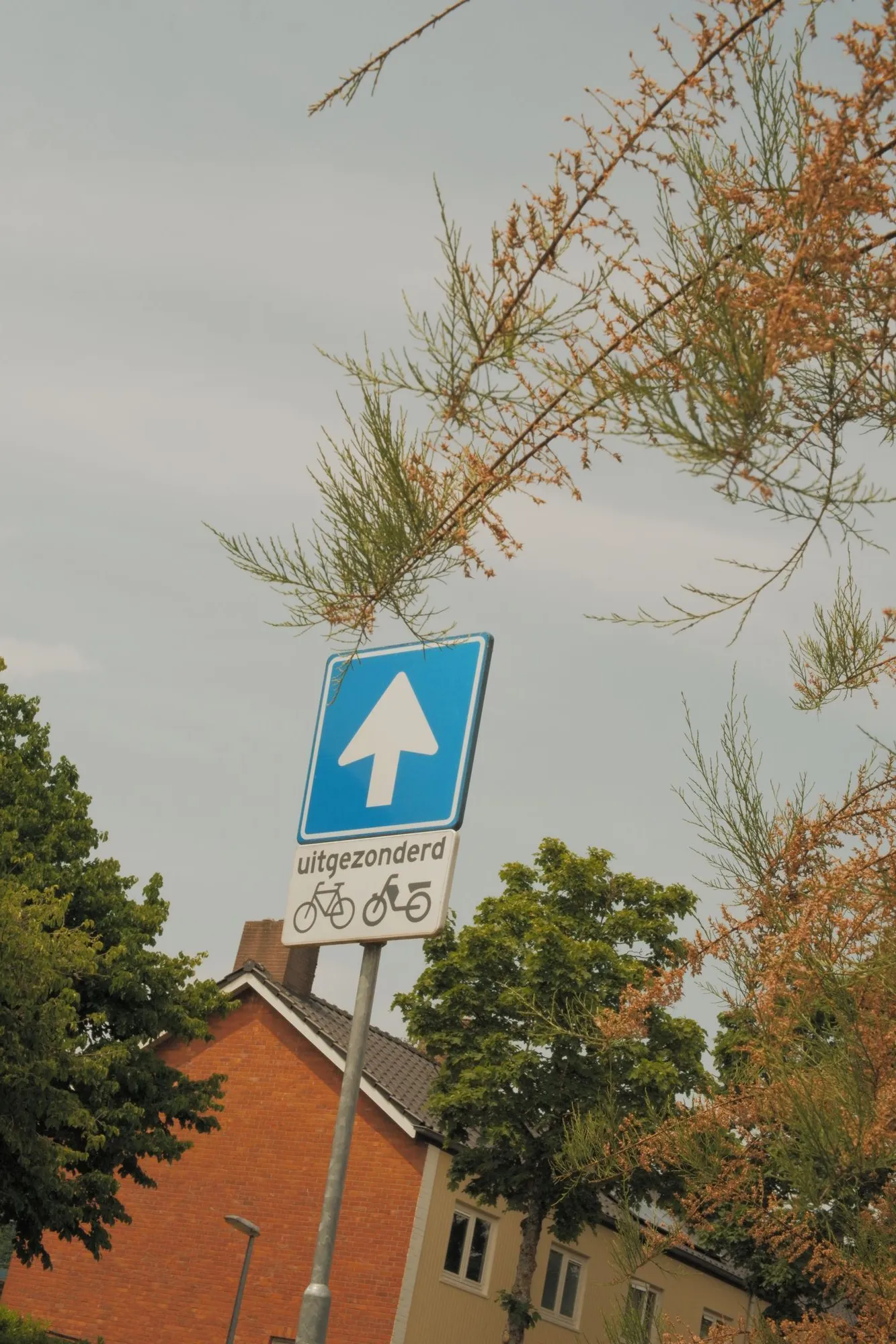 2026-05-31 - One-way-sign pointing upwards