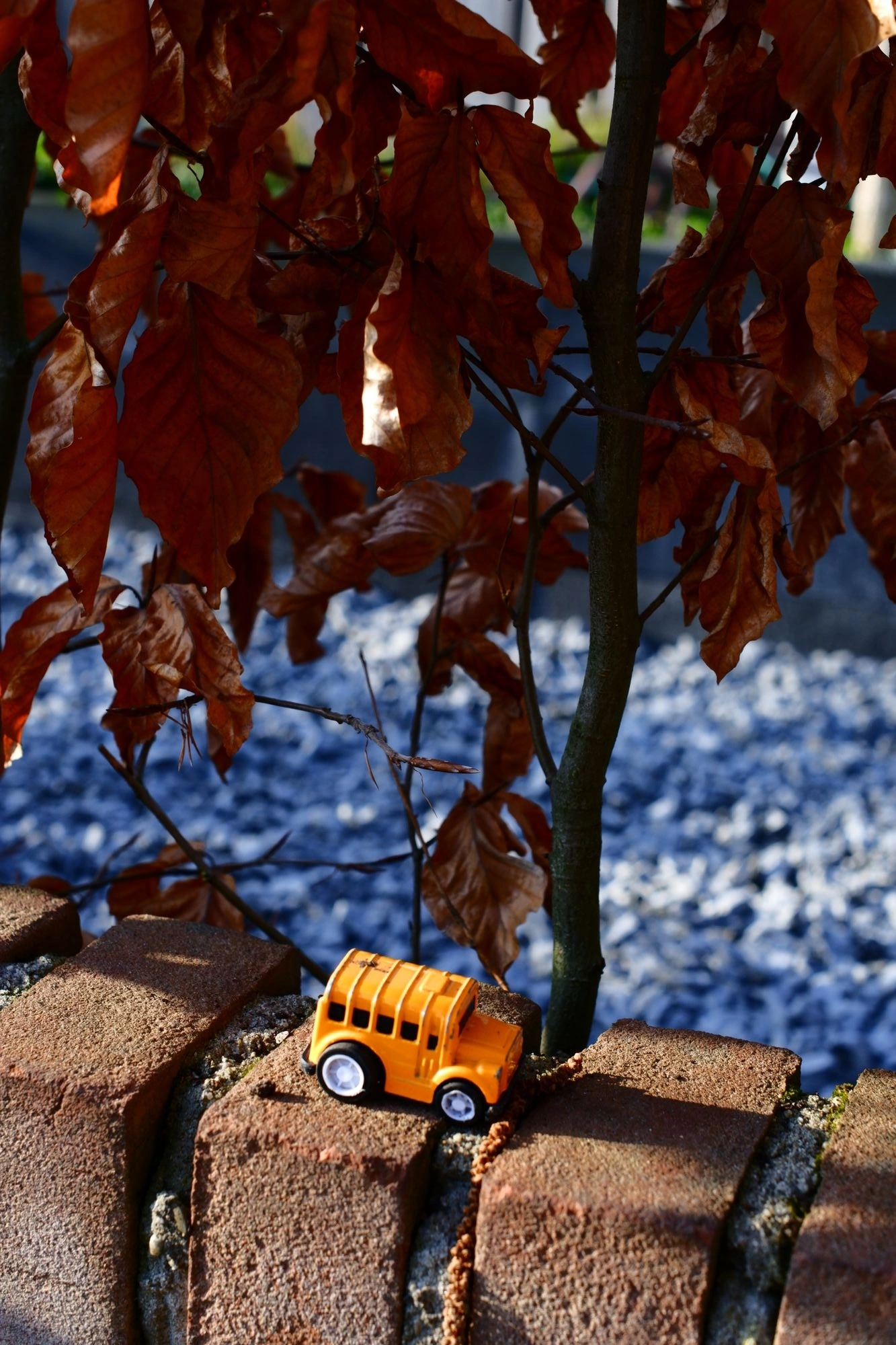 2026-03-15 - xt35 - color - NL - Little toy truck on brick wall