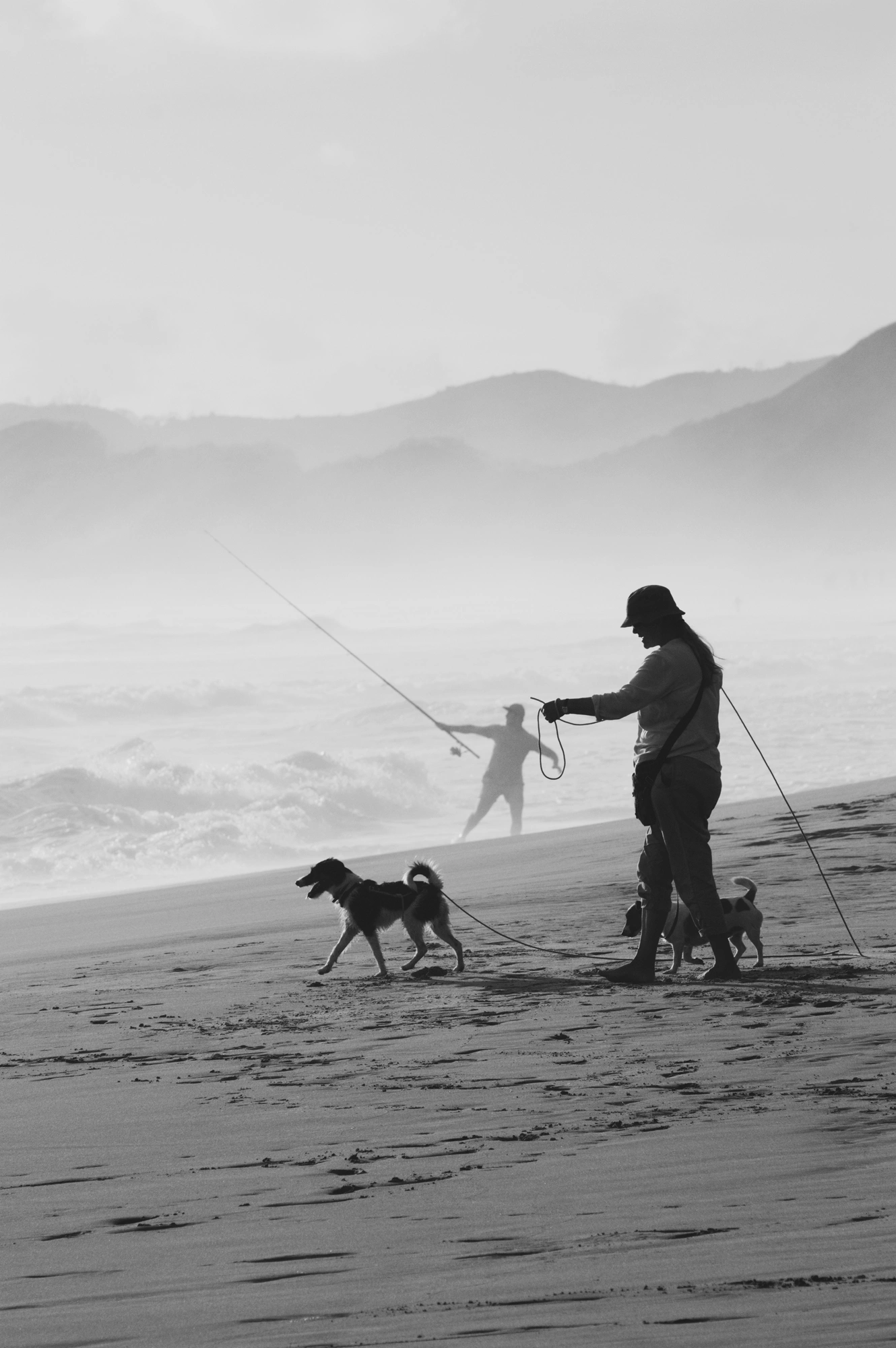 2018-12-24 - n18-55 - bw - ZA - Person walking dogs on the beach with fisherman in the background