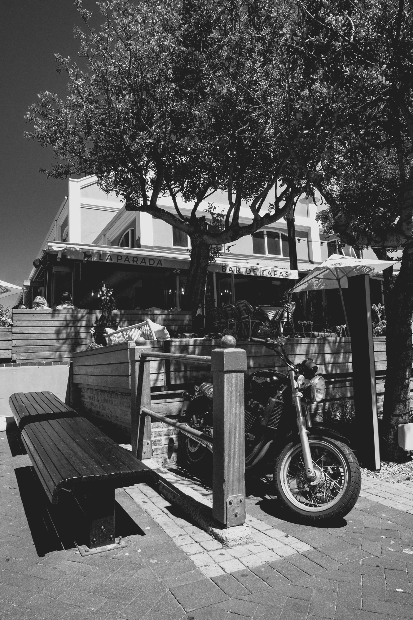 2022-02-13 - xt15-45 - bw - ZA - Cape Town - A motorbike under a tree