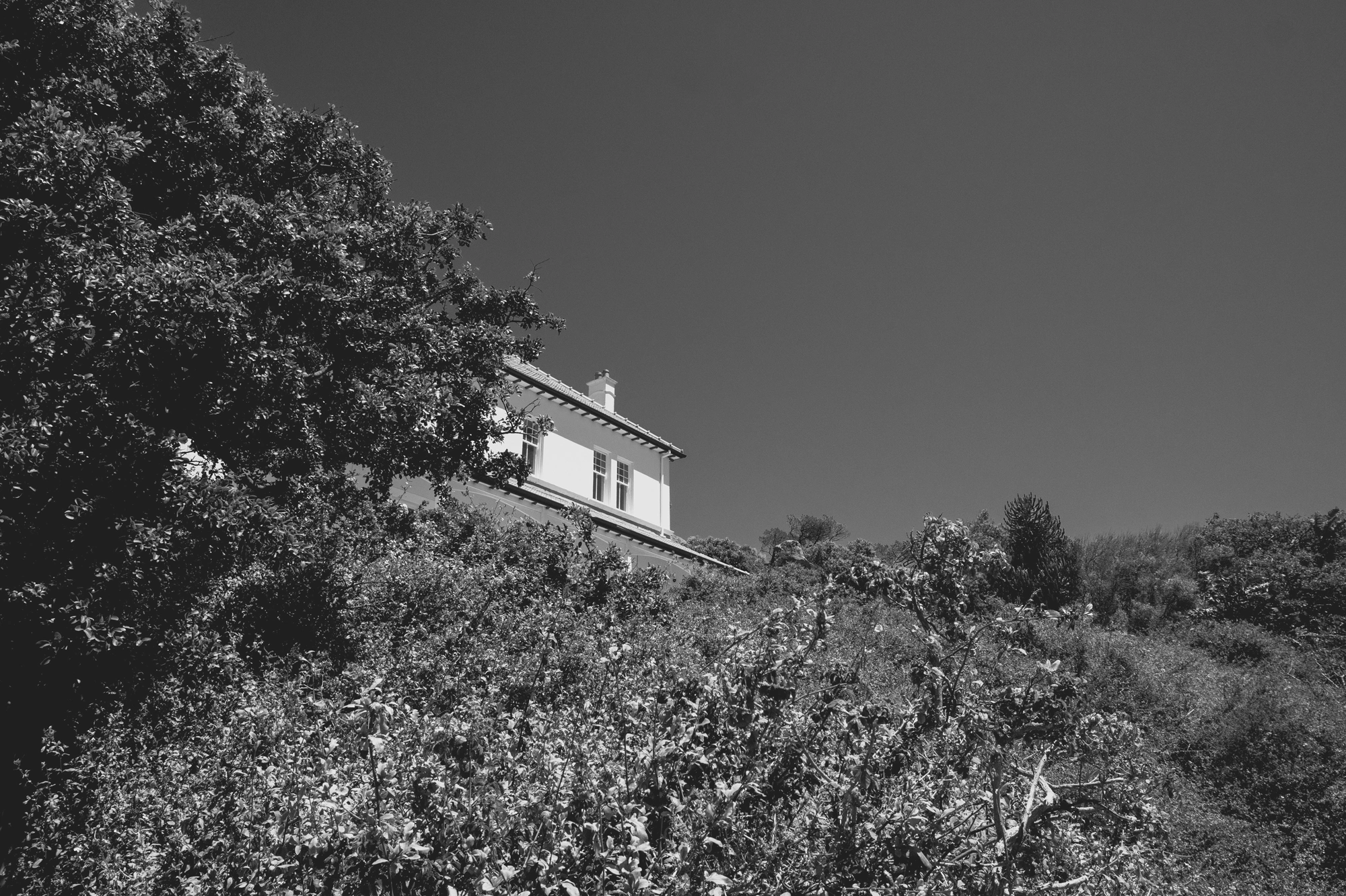 2022-02-14 - xt15-45 - bw - ZA - Cape Town - Building poking out from amongst the trees