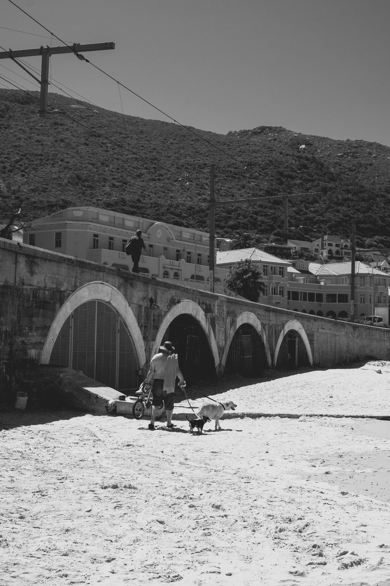 2022-02-14 - xt15-45 - bw - ZA - Cape Town - Man walking dogs on beach