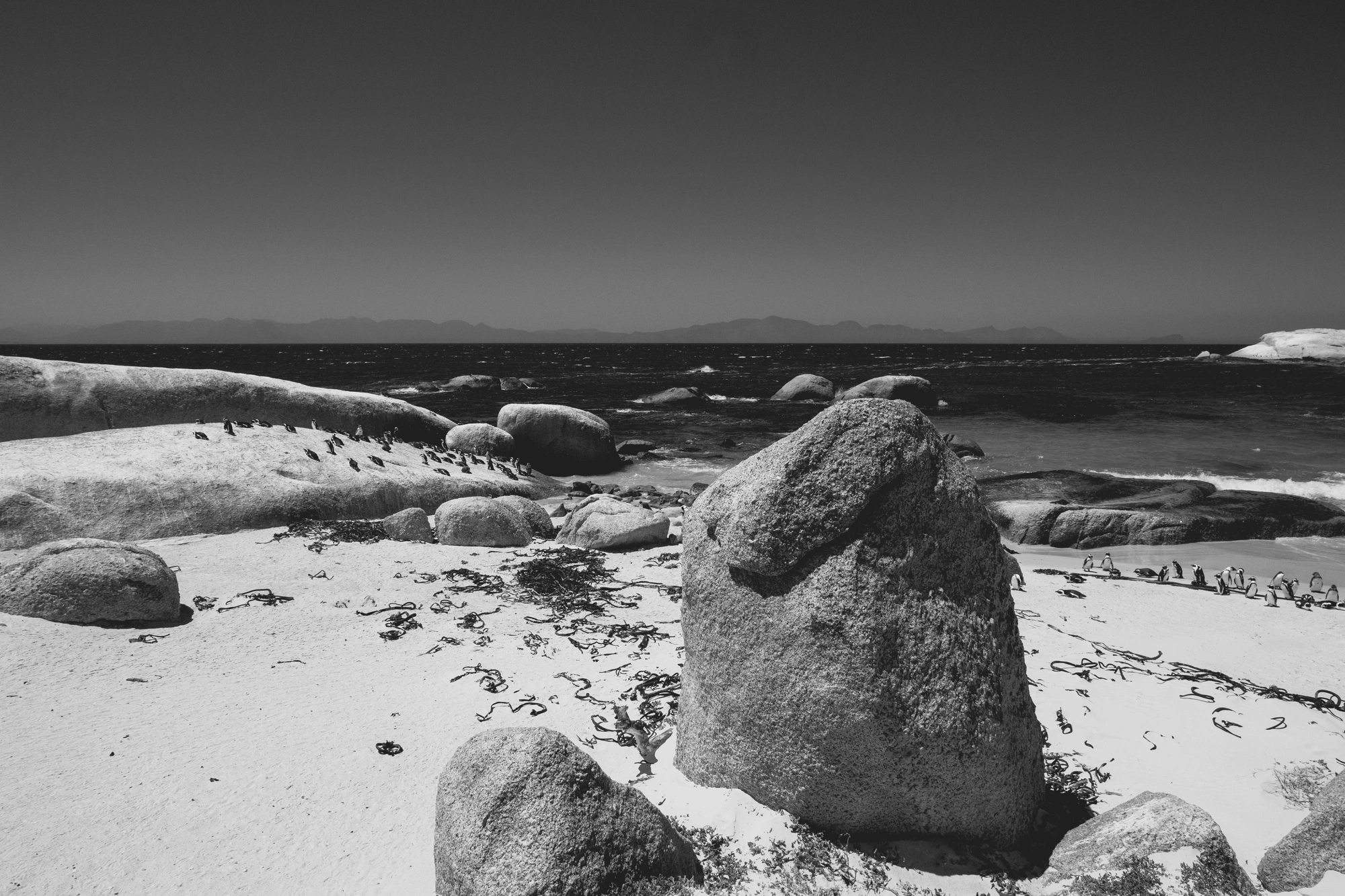 2022-02-14 - xt15-45 - bw - ZA - Cape Town - Rocks on beach