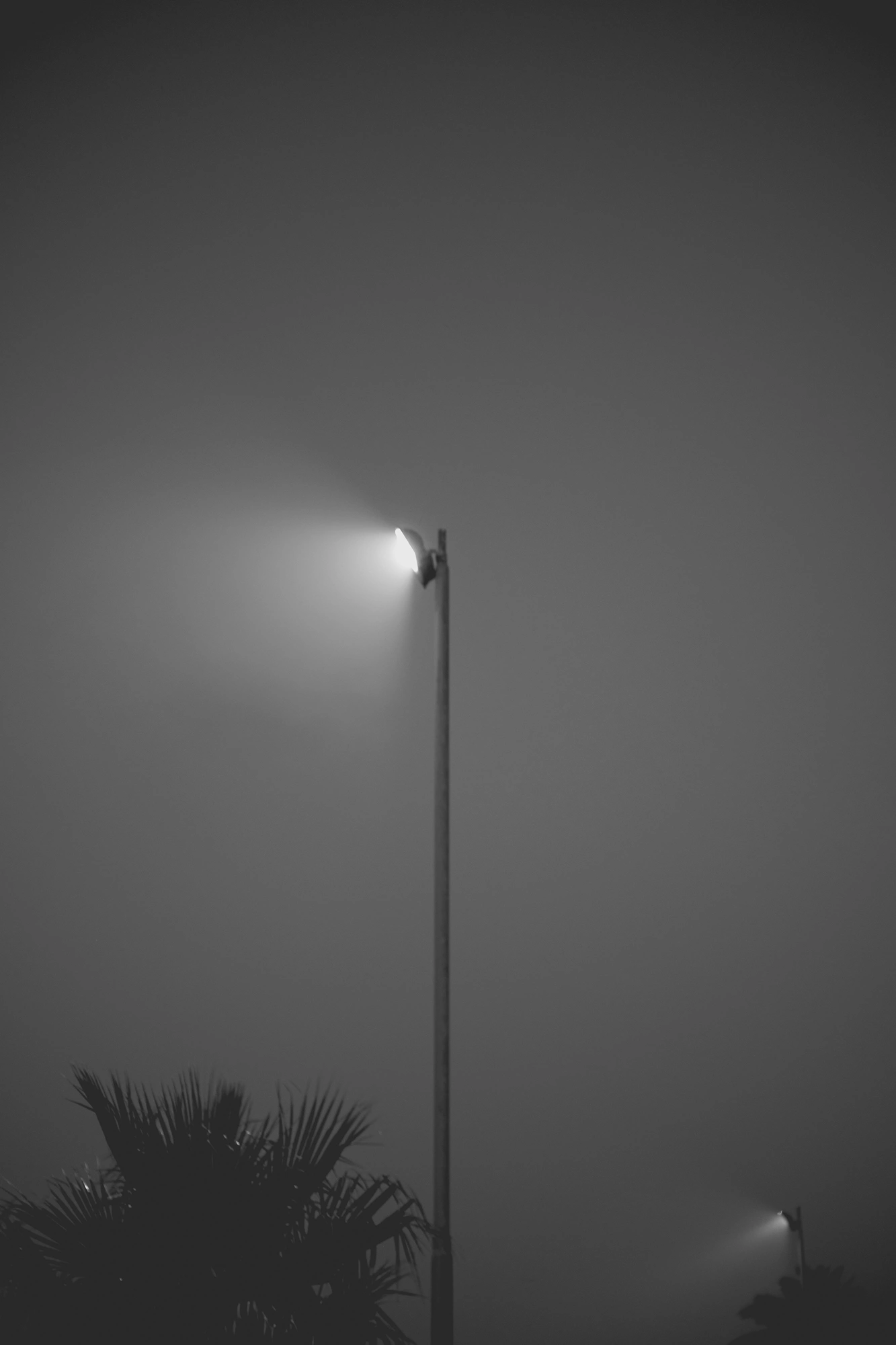 2022-02-15 - xt35 - bw - ZA - Cape Town - Lights in the mist