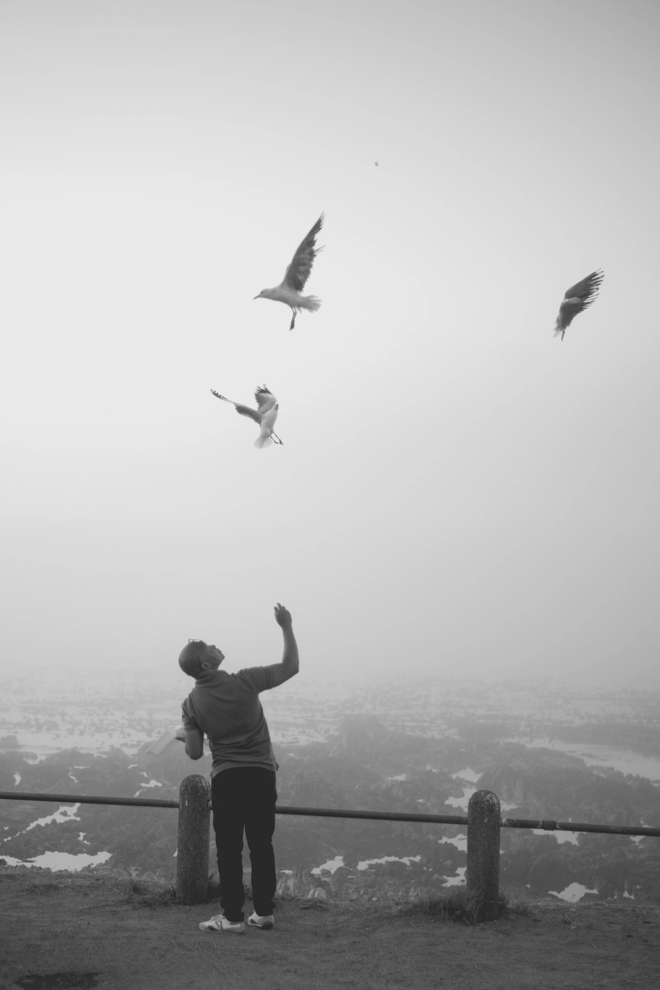 2022-02-15 - xt35 - bw - ZA - Cape Town - Man throws food up at seagulls on a misty day