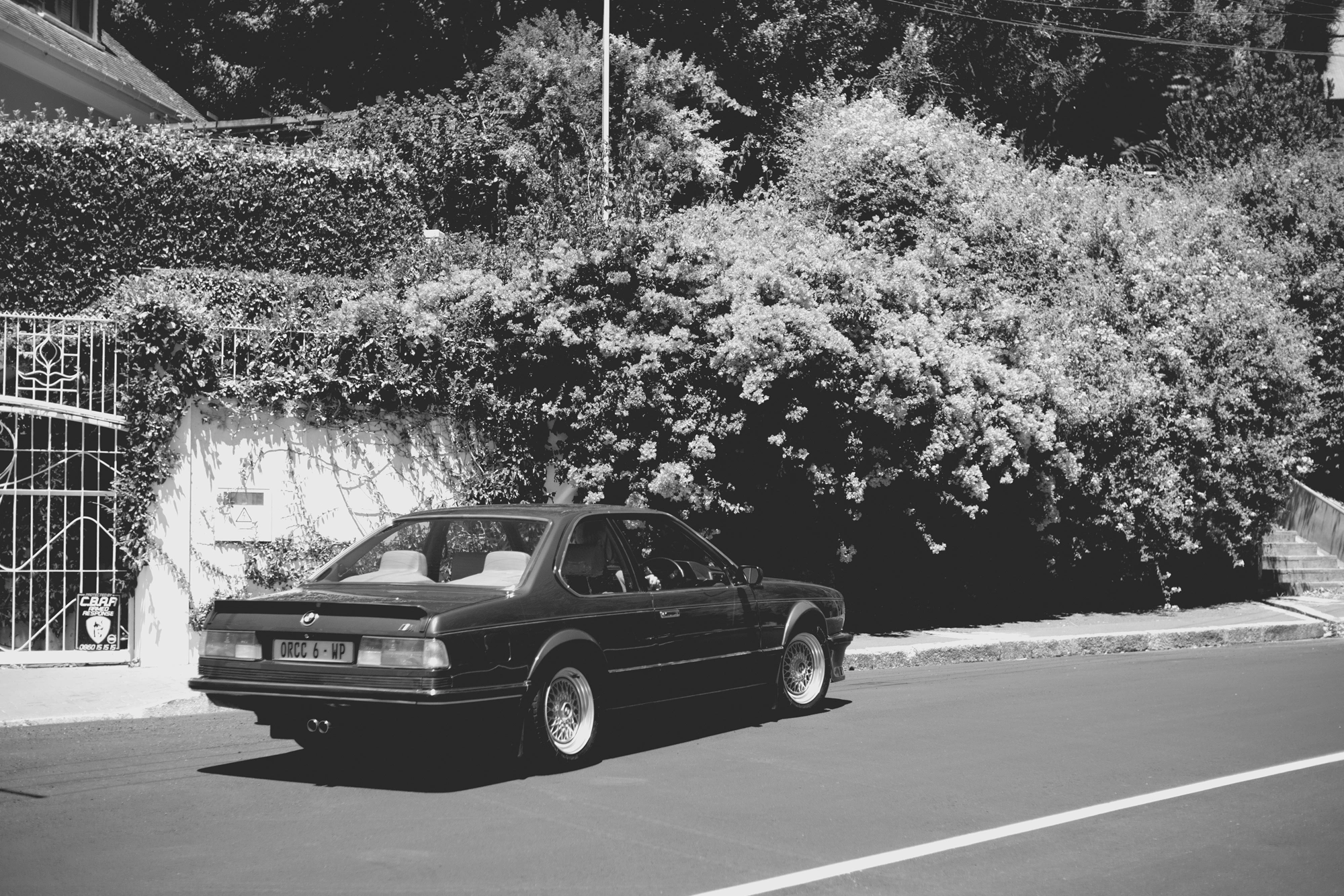 2022-02-16 - xt35 - bw - ZA - Cape Town - Car driving next to plants