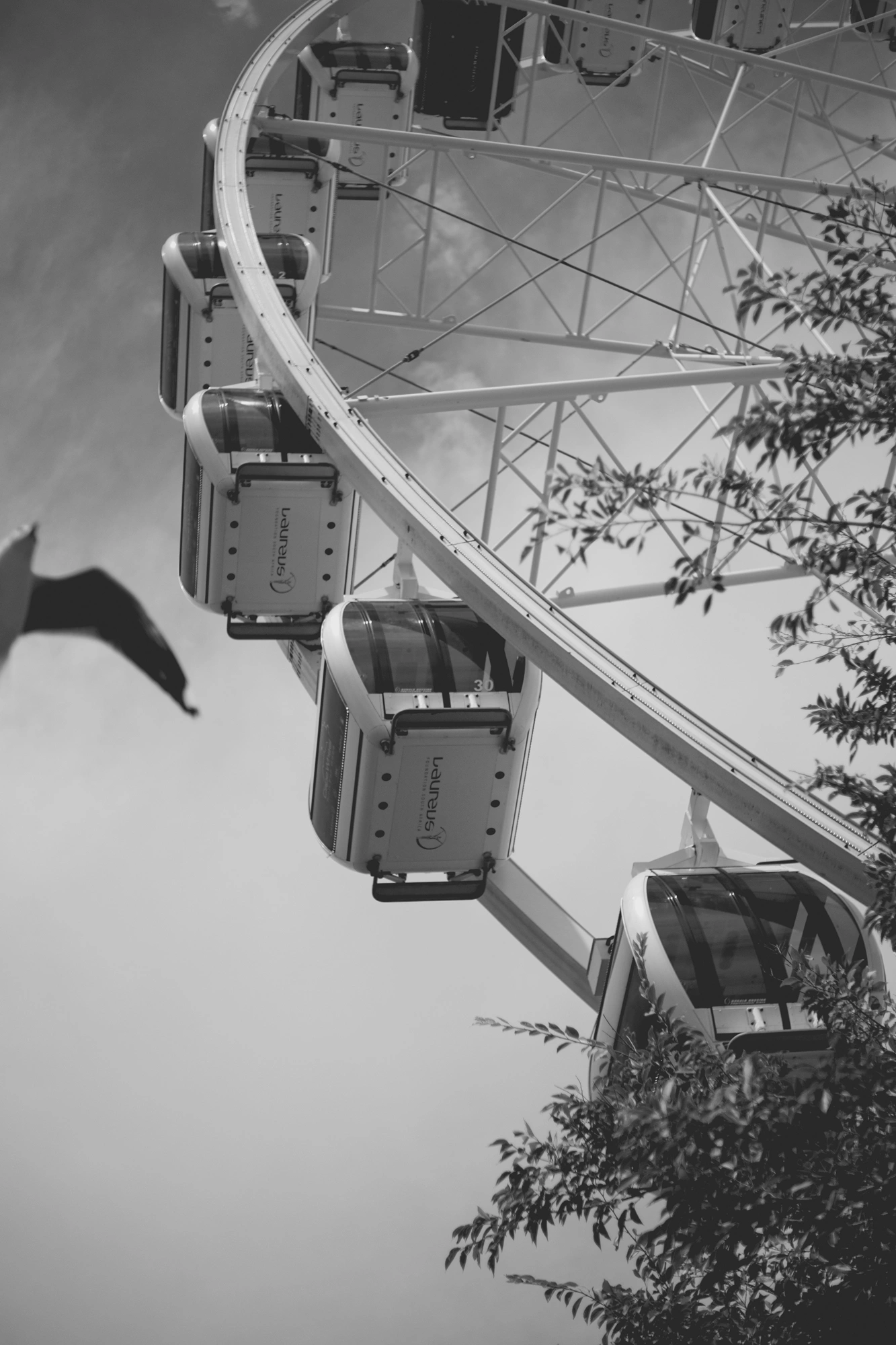 2022-02-18 - xt35 - bw - ZA - Cape Town - Bird flies in front of feris wheel