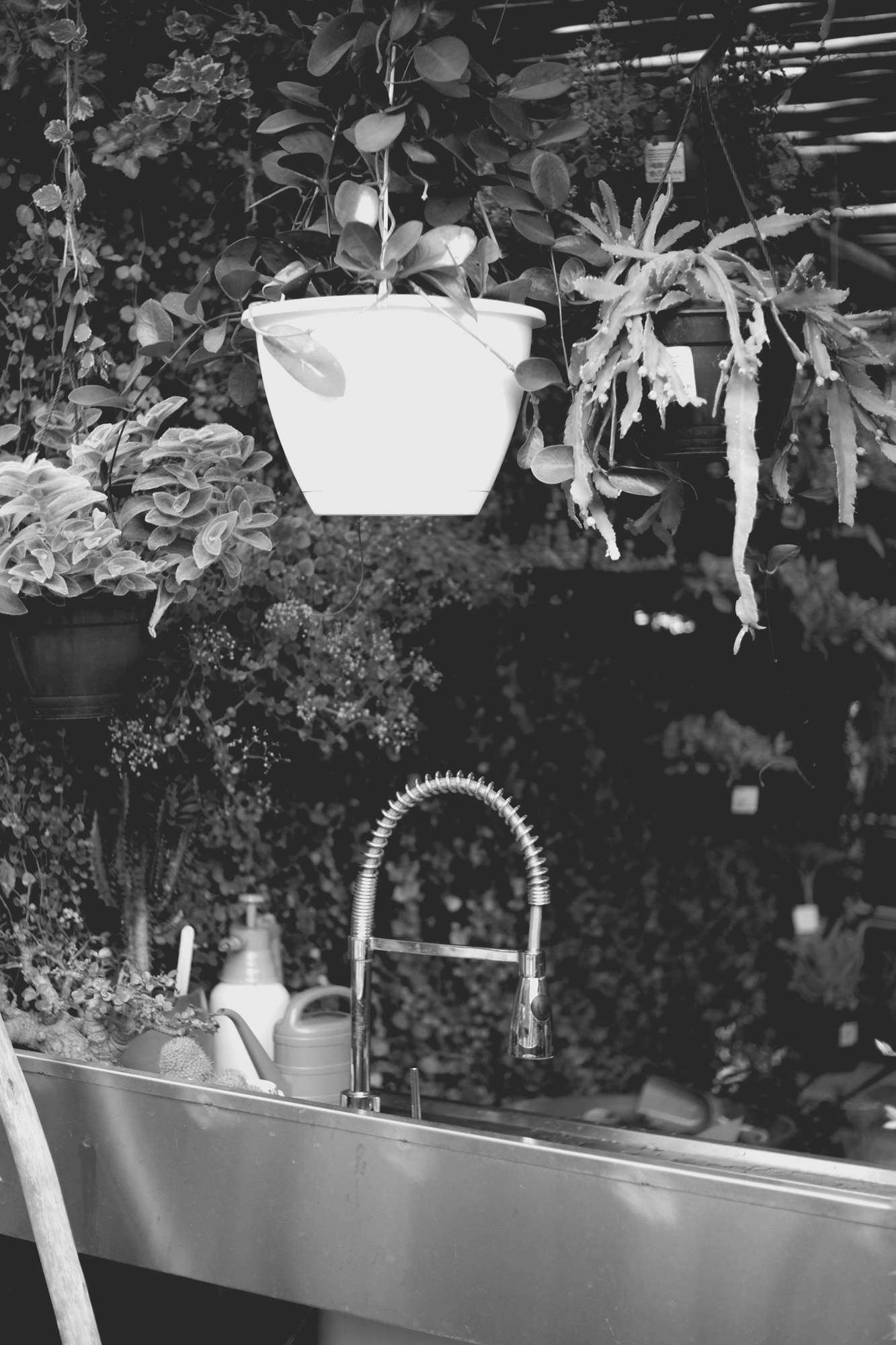 2022-02-18 - xt35 - bw - ZA - Cape Town - Tap in the sunlight at plant shop