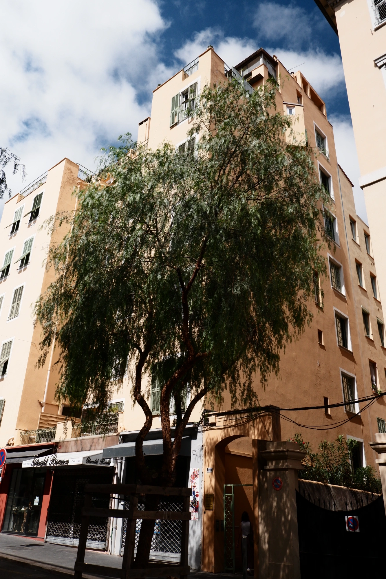 2025-09-06 - xt15-45 - color - FR - Nice - Tree in front of building