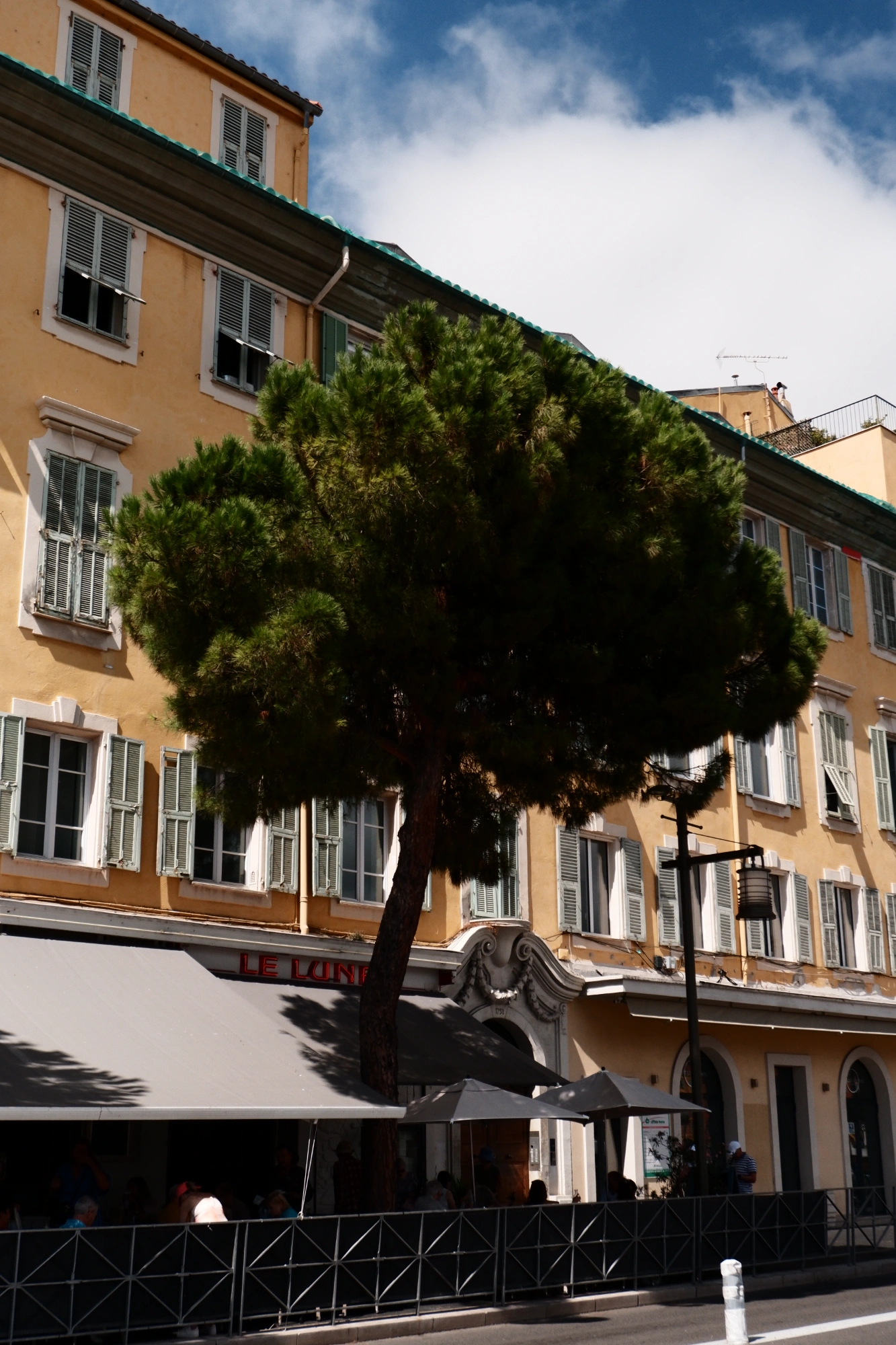 2025-09-06 - xt15-45 - color - FR - Nice - Tree sticking out of gap between umbrellas