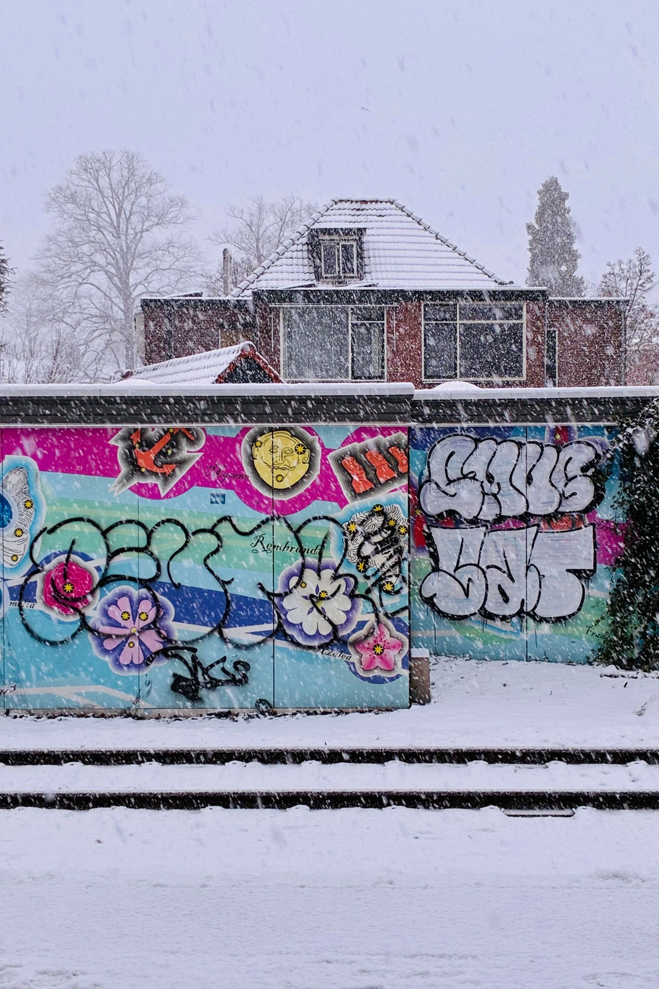 2026-01-03 - xt35 - color - NL - Grafitti'd wall in a snow storm