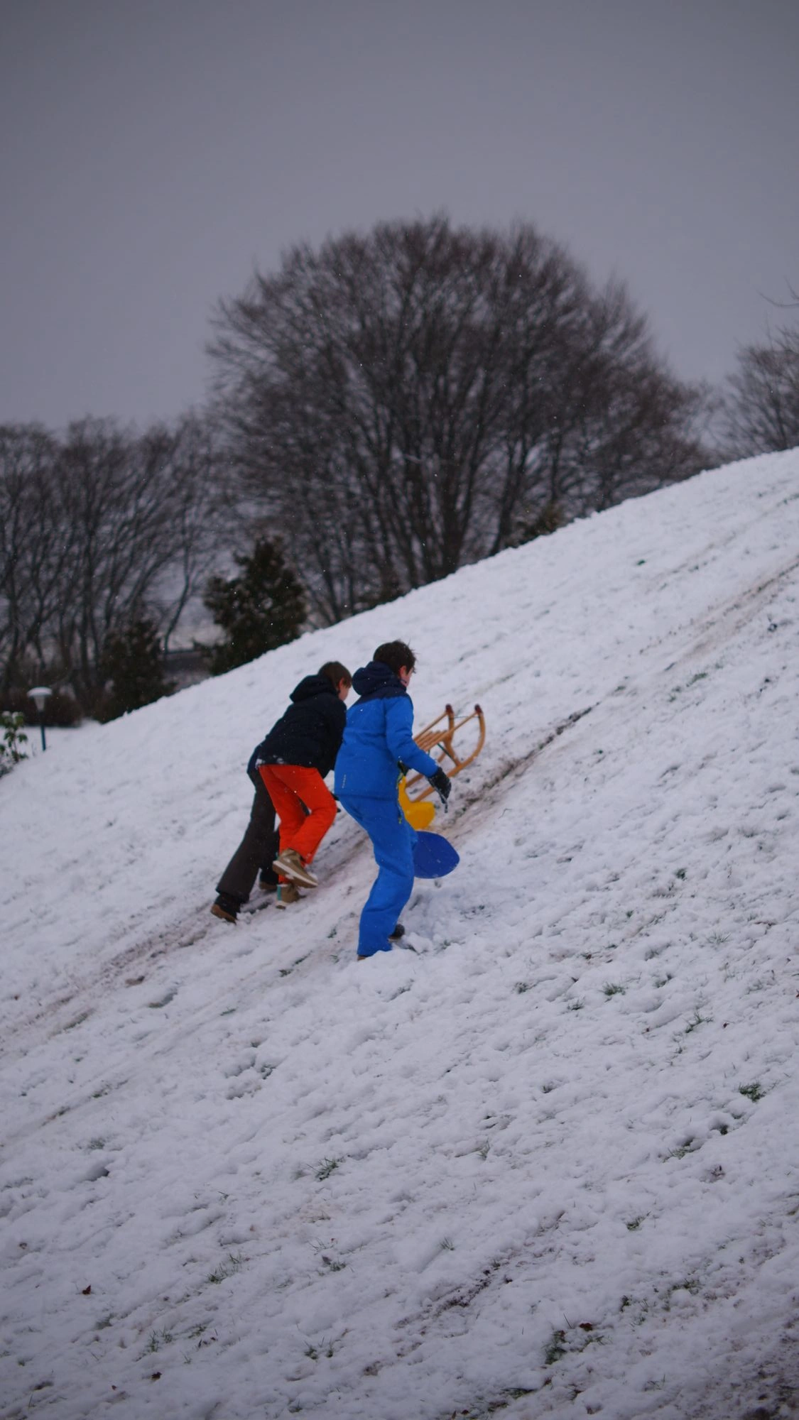 2026-01-03 - xt35 - color - NL - Kids climbing up snow covered hill with sleds