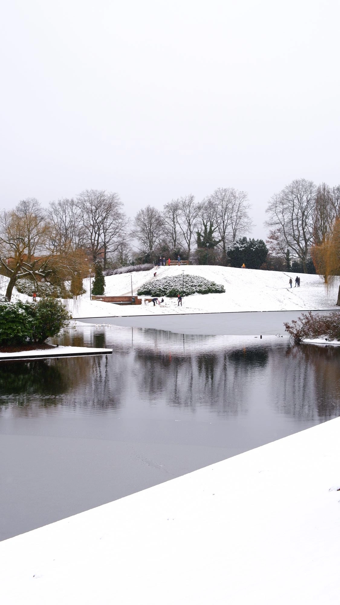 2026-01-03 - xt35 - color - NL - Pond in the snow