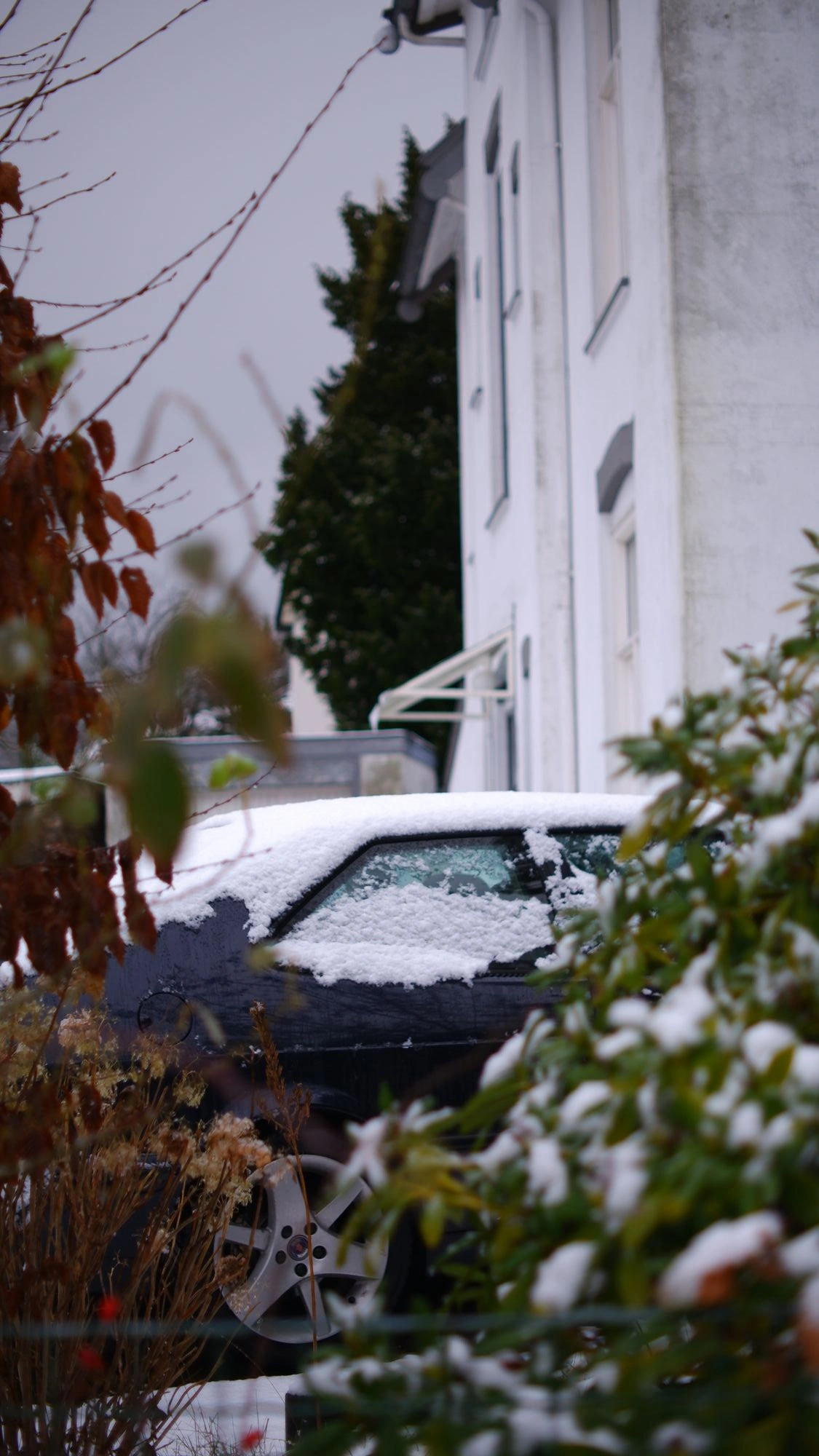 2026-01-03 - xt35 - color - NL - Snow covered car between some bushes