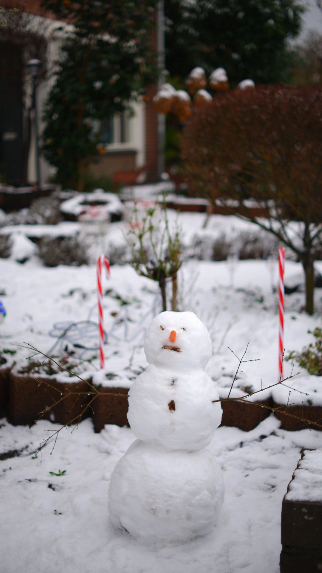 2026-01-03 - xt35 - color - NL - Snowman with two plastic candy canes behind it