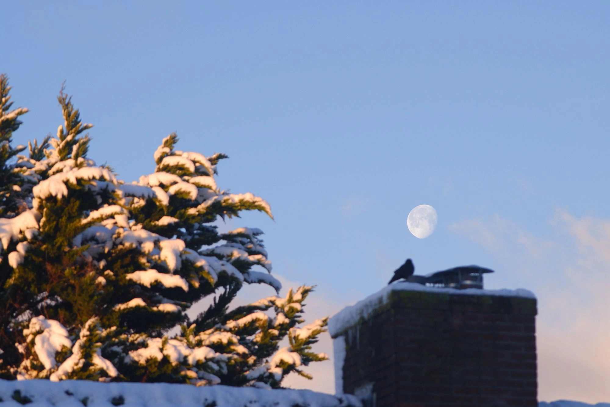 2026-01-03 - xt75-300 - color - NL - Moon above snow-covered roof beside tree
