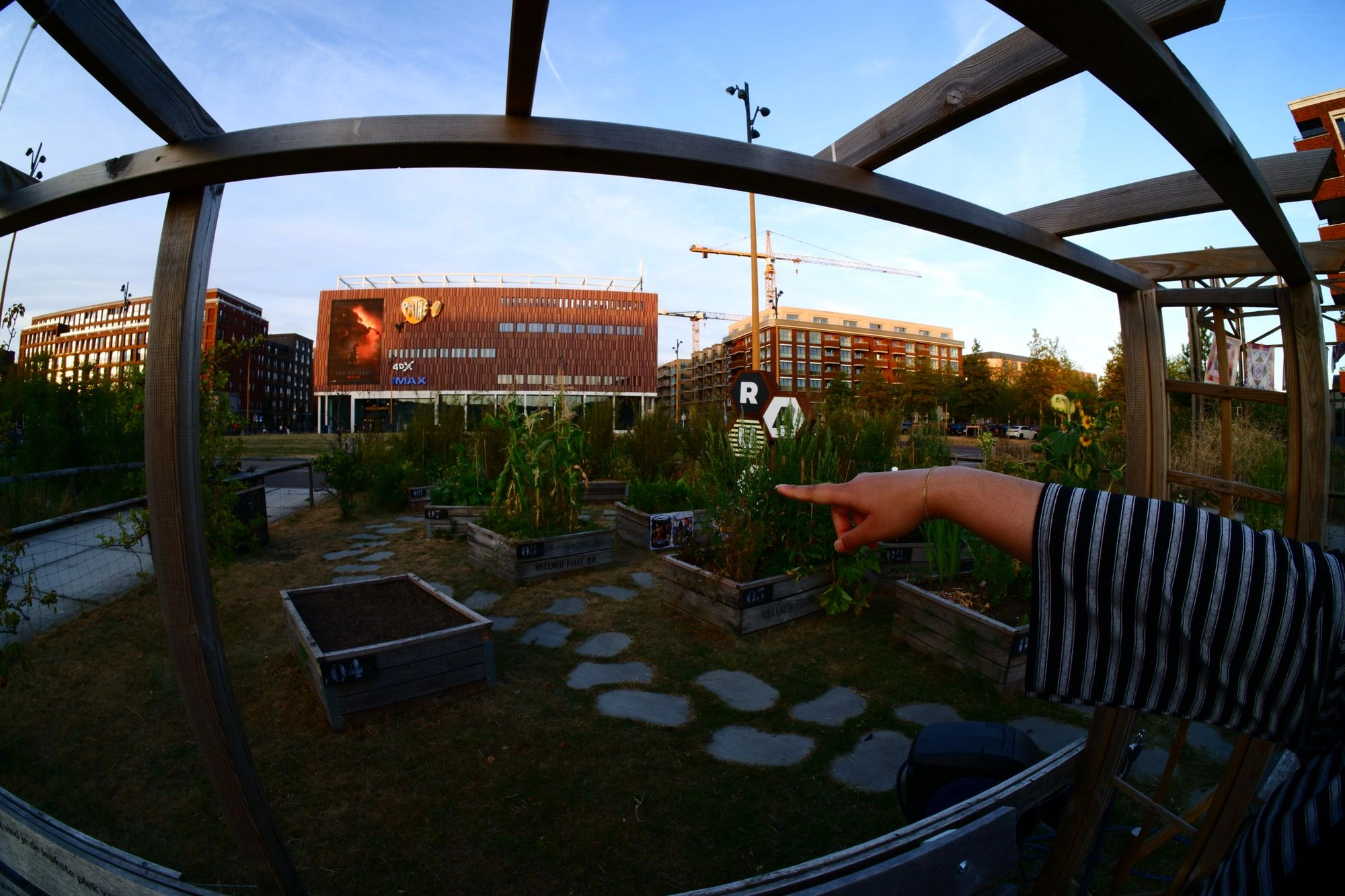 Pointing at plants in boxes