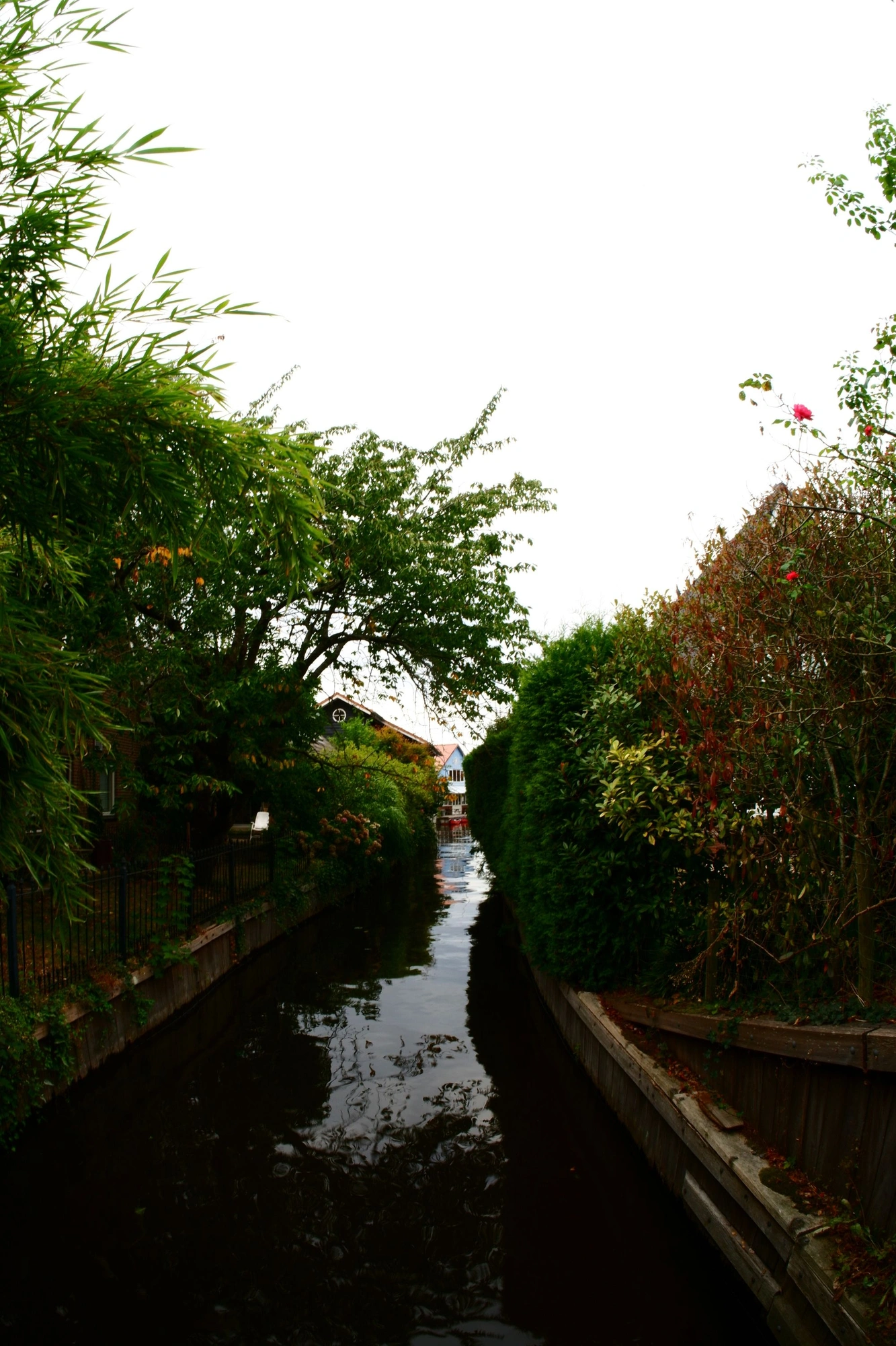 Canal with blue house in the distance