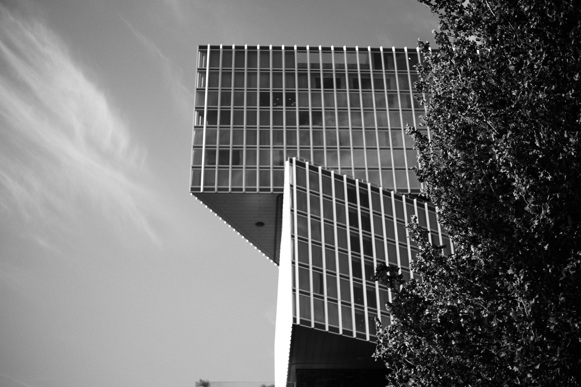 2023-07-25 - xt35 - bw - NL - Corners of triangular buildings