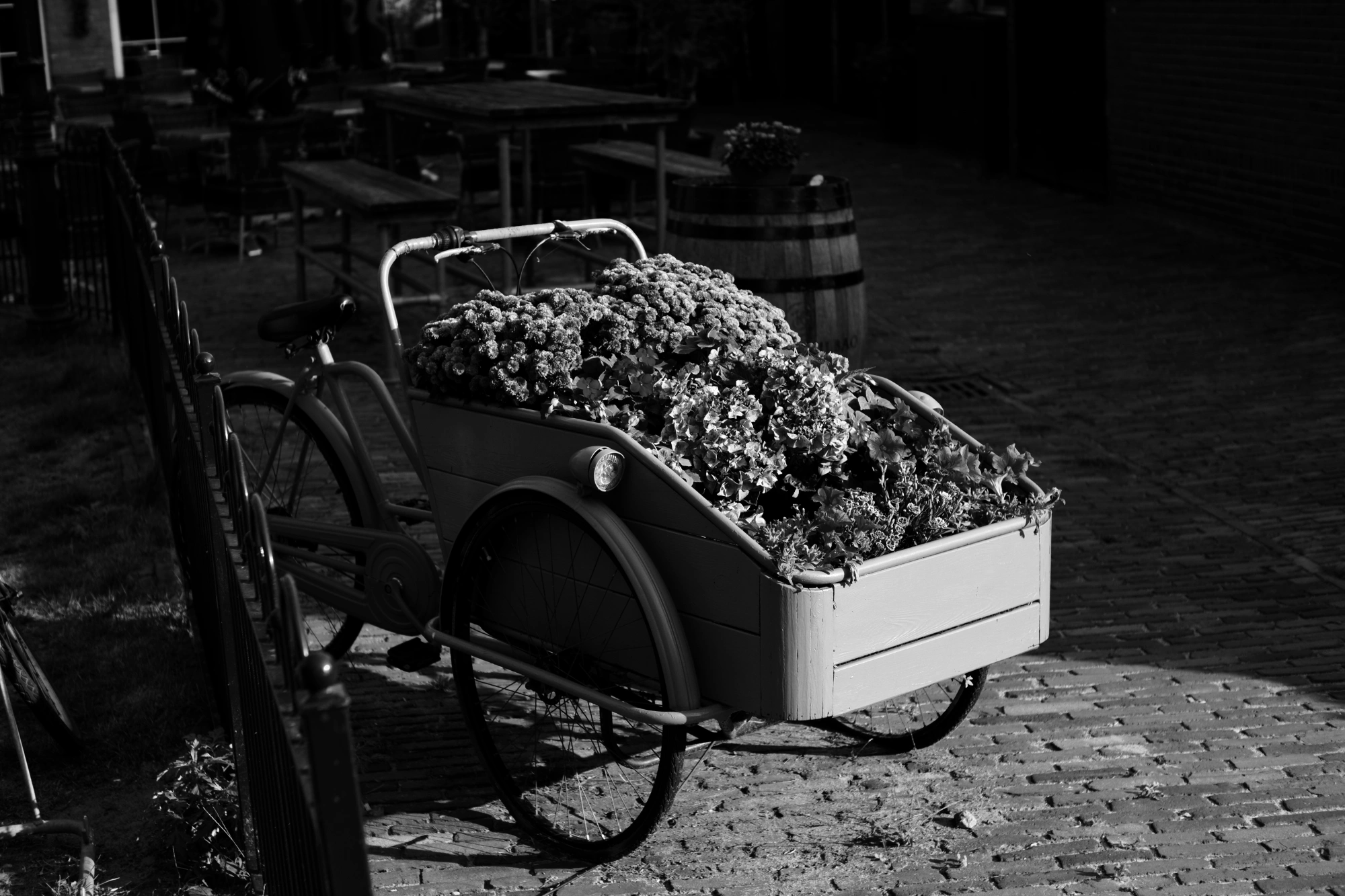 2023-09-09 - xt35 - bw - NL - Plants in wheelbarrow