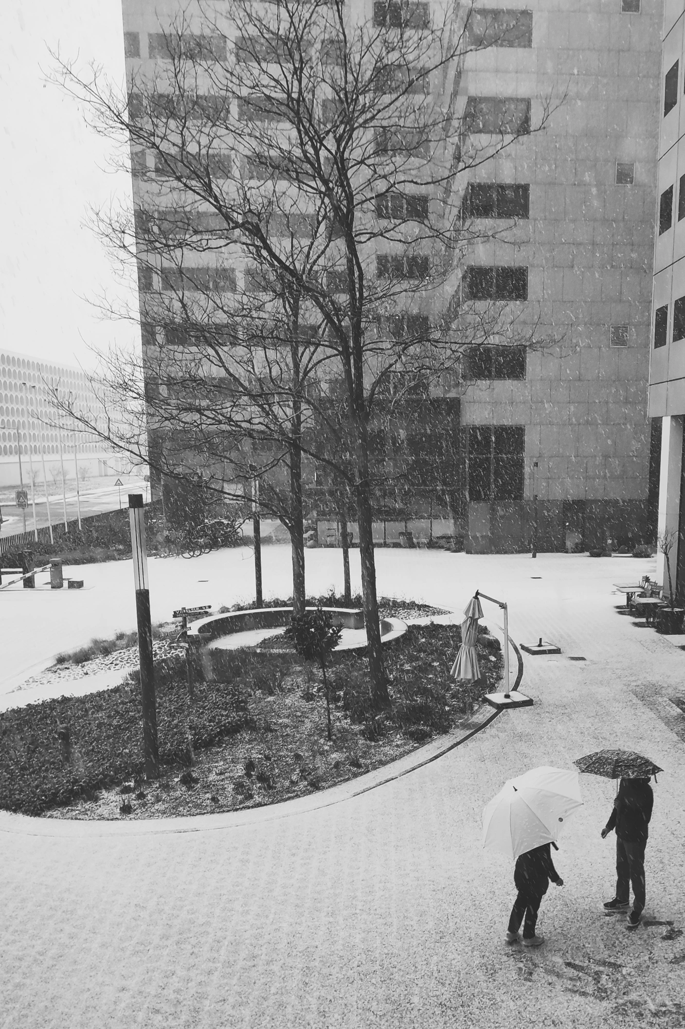 2024-01-18 - redmi - bw - NL - People standing outside with umbrellas