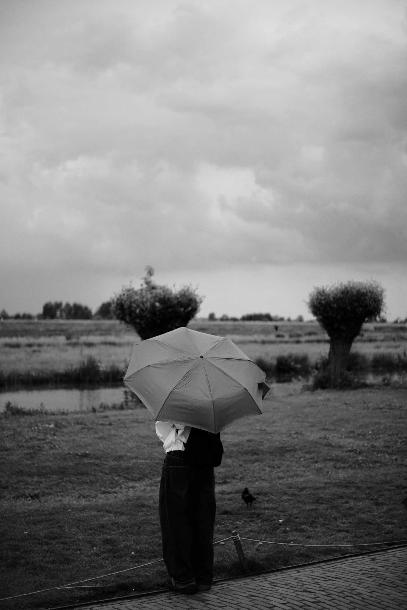 2024-05-26 - xt35 - bw - NL - Person with umbrella