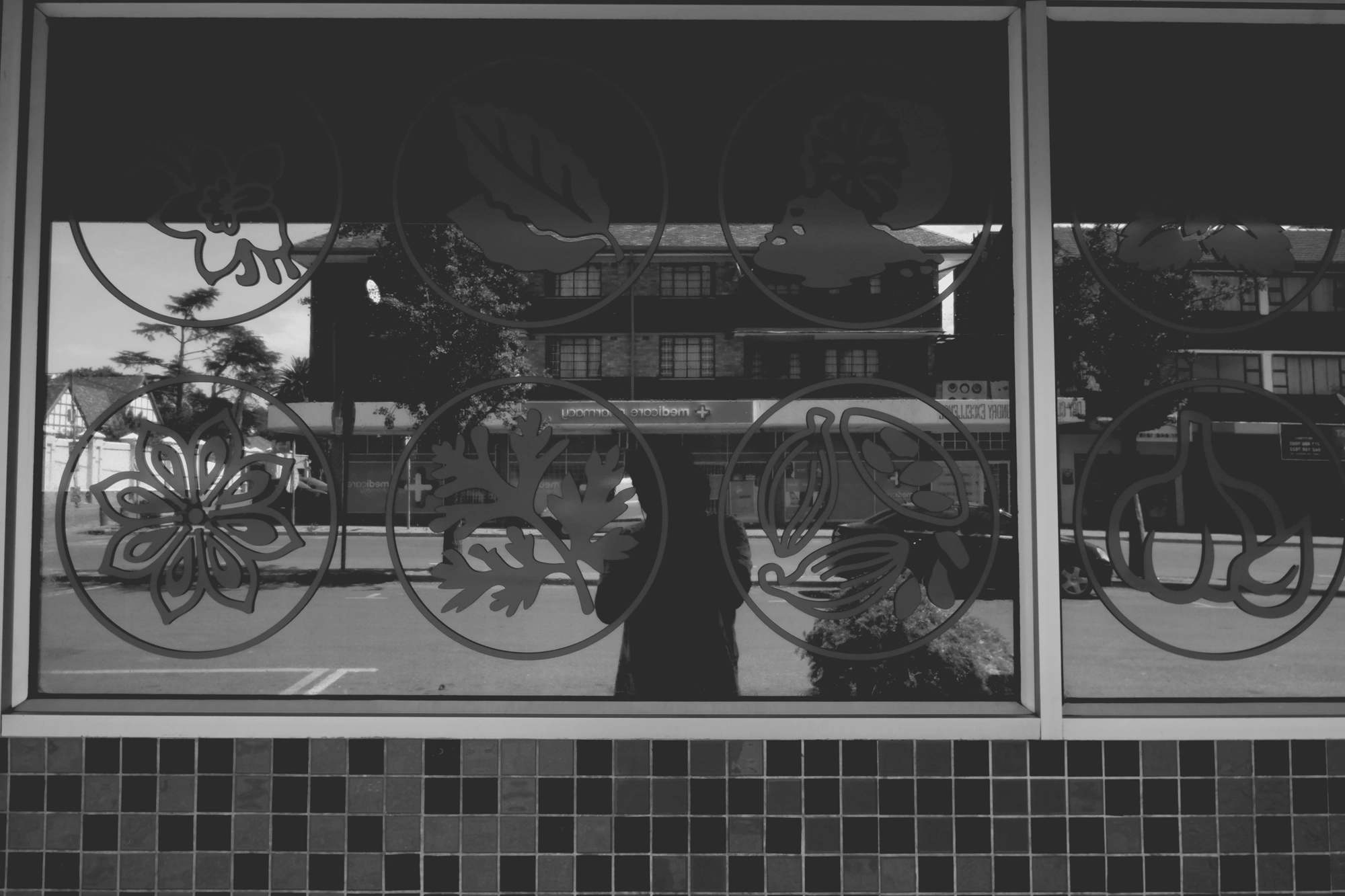 2021-11-07 - xt15-45 - bw - ZA - Emmerentia, Johannesburg - My reflection