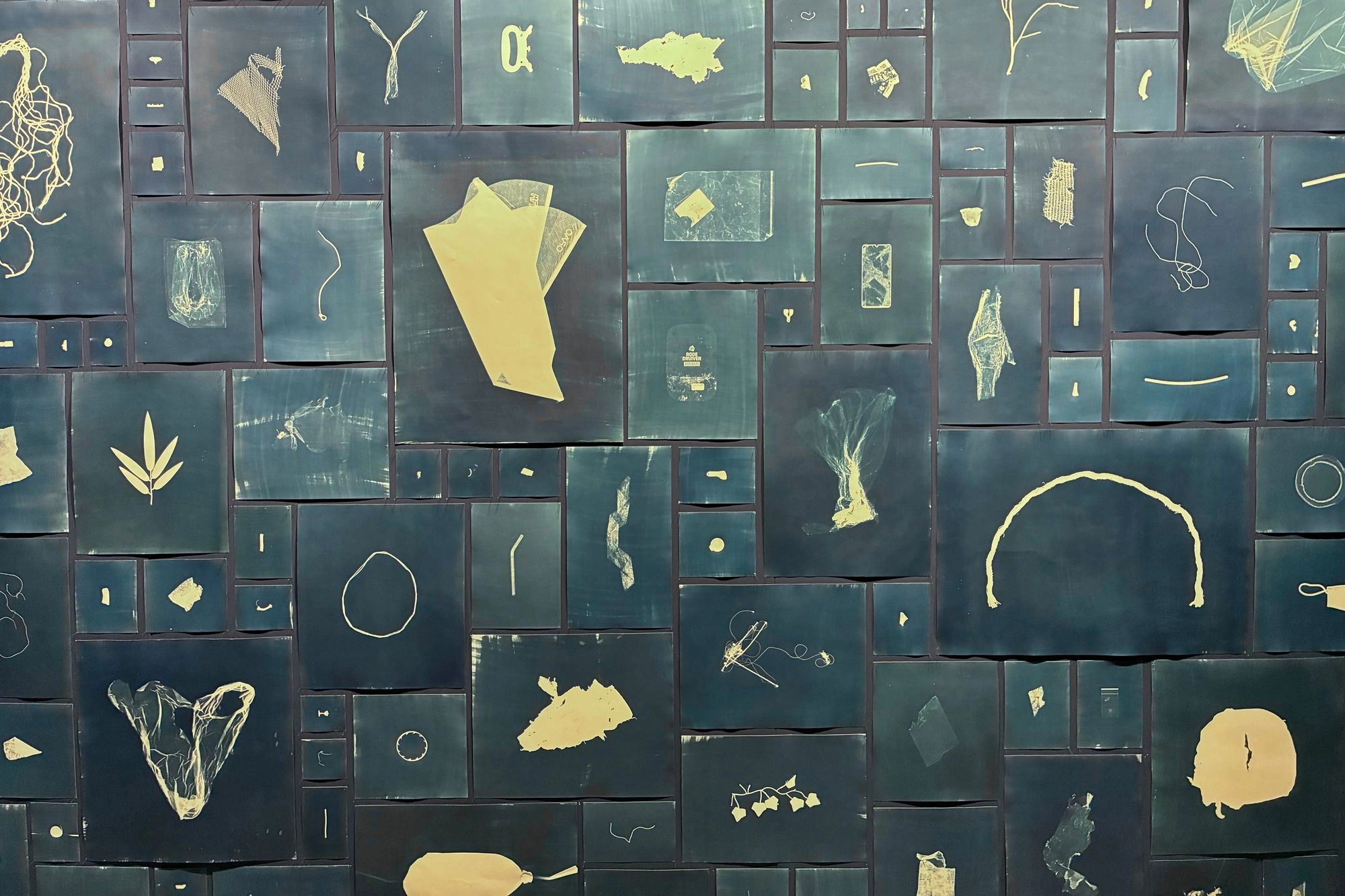 2026-03-28 - Cyanotypes of plastic found in the ocean.J