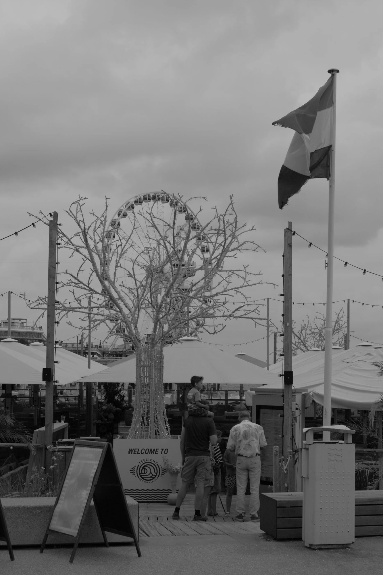 2026-07-18 - Scheveningen - Tree with ferris wheel in background.J
