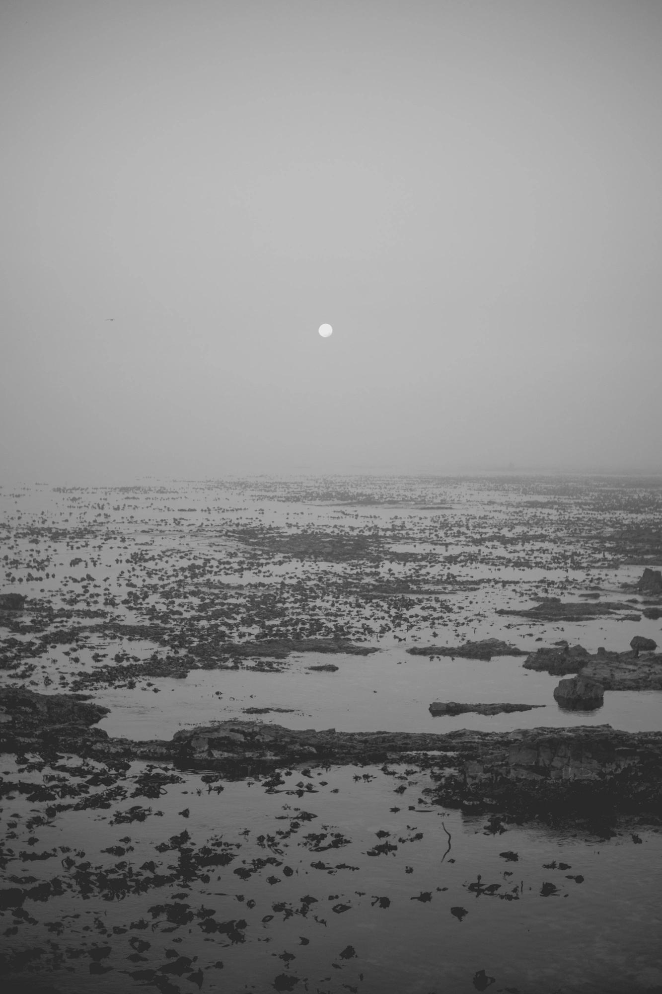 2022-02-15 - Cape Town - Moon over a rocky beach.j