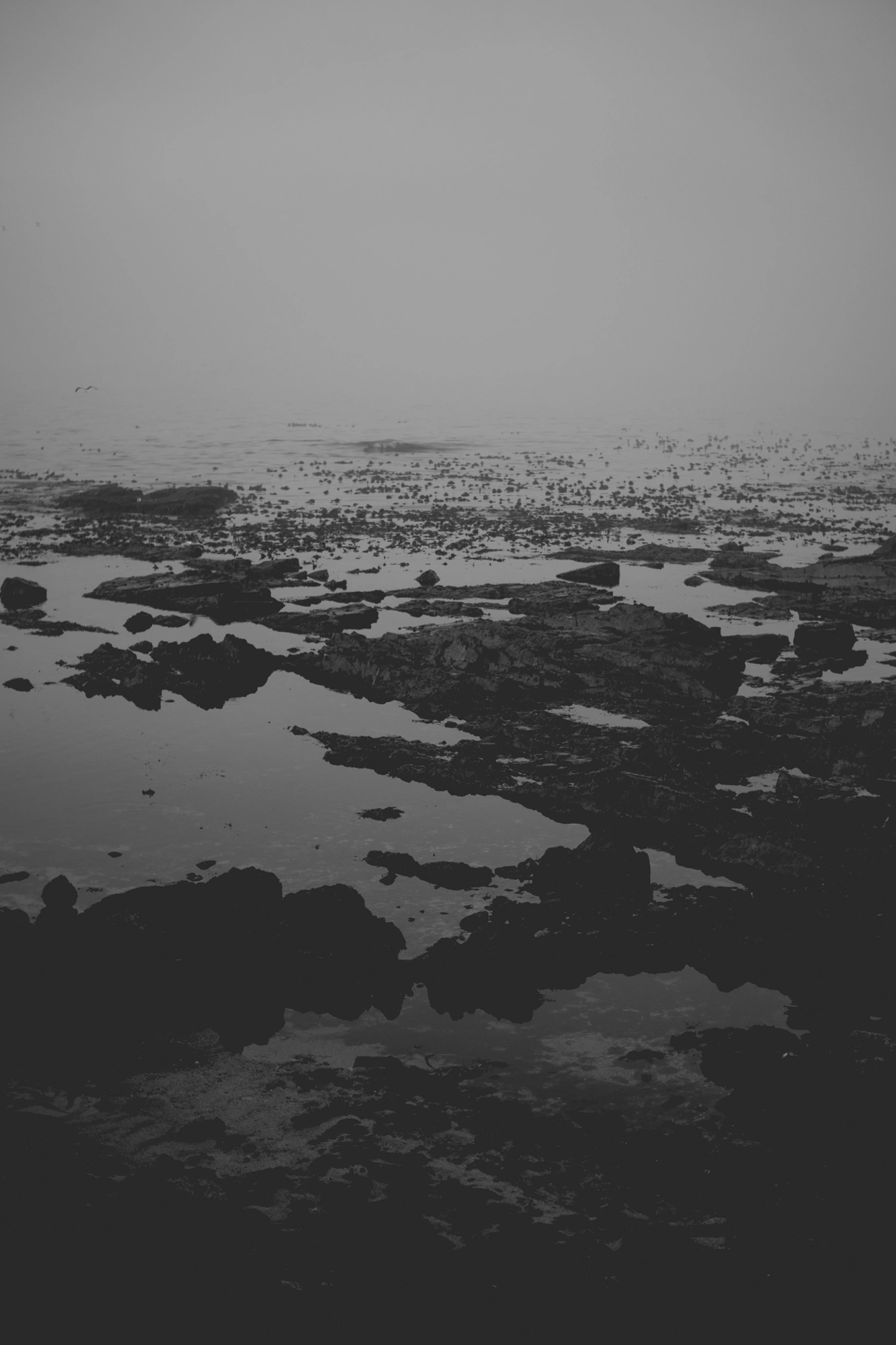 2022-02-15 - Cape Town - Rocks ocean.j