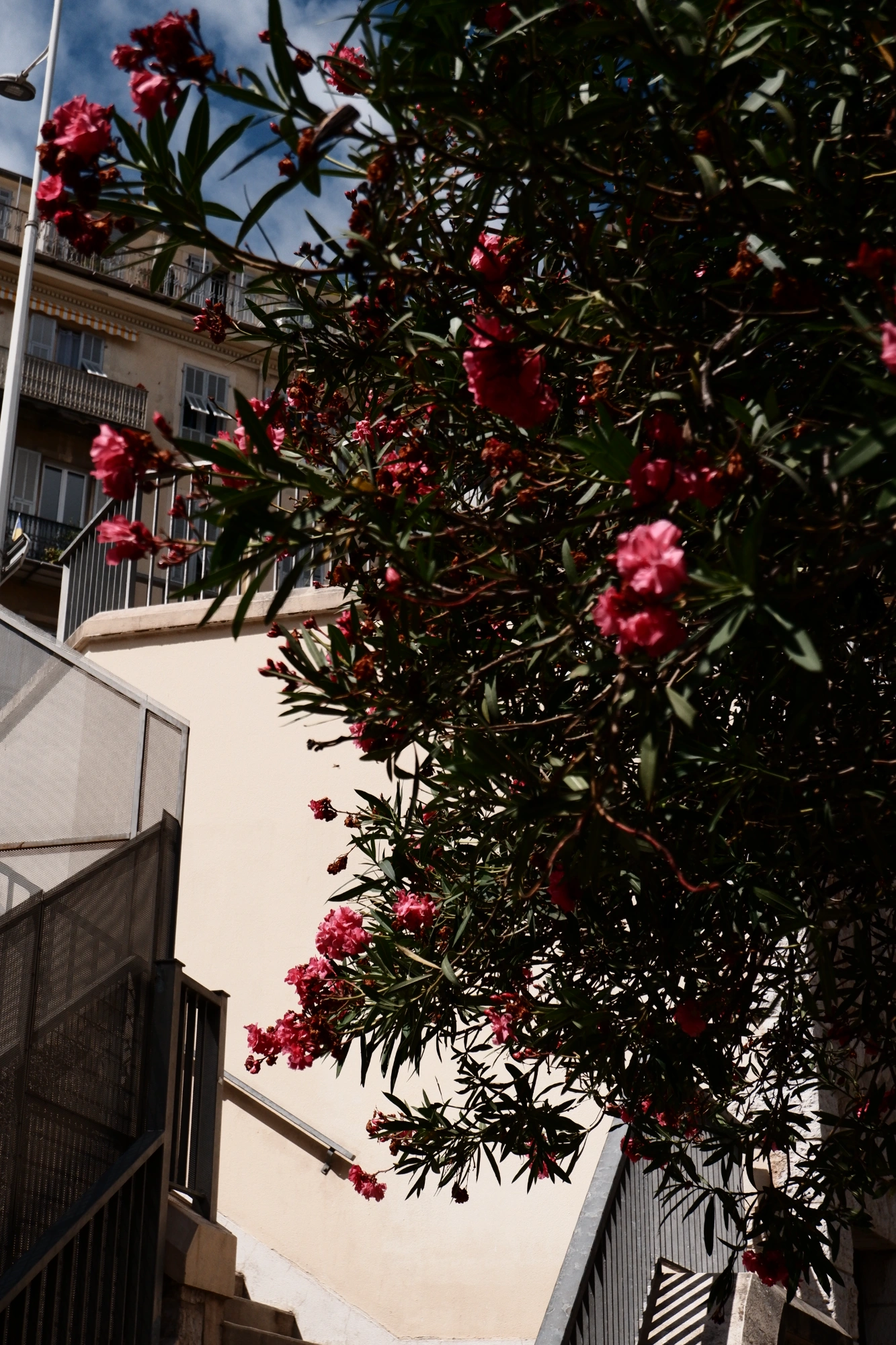 2025-09-cote-d-azure-nice9.p