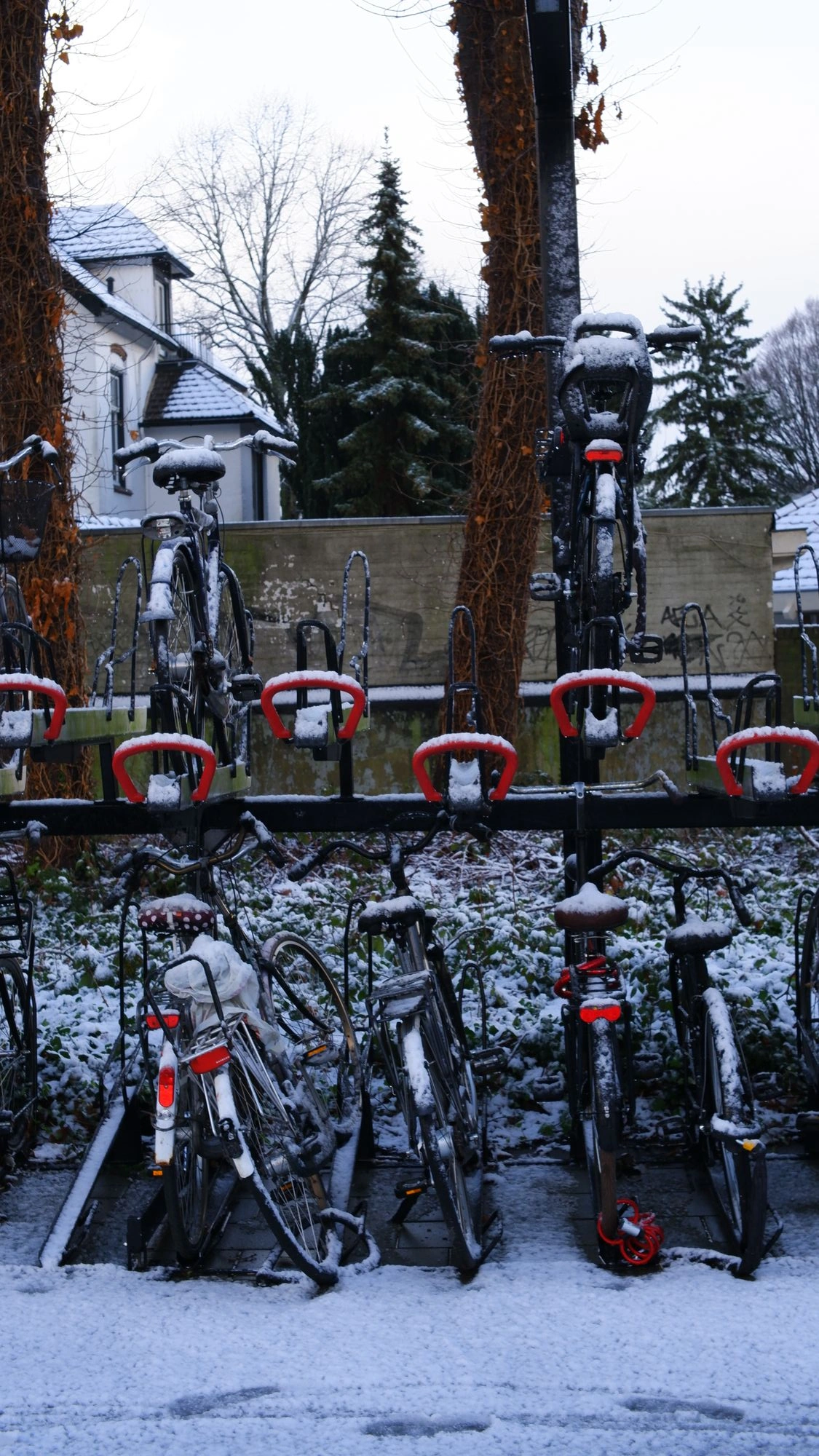 Bicycles parked in snow at train station.J