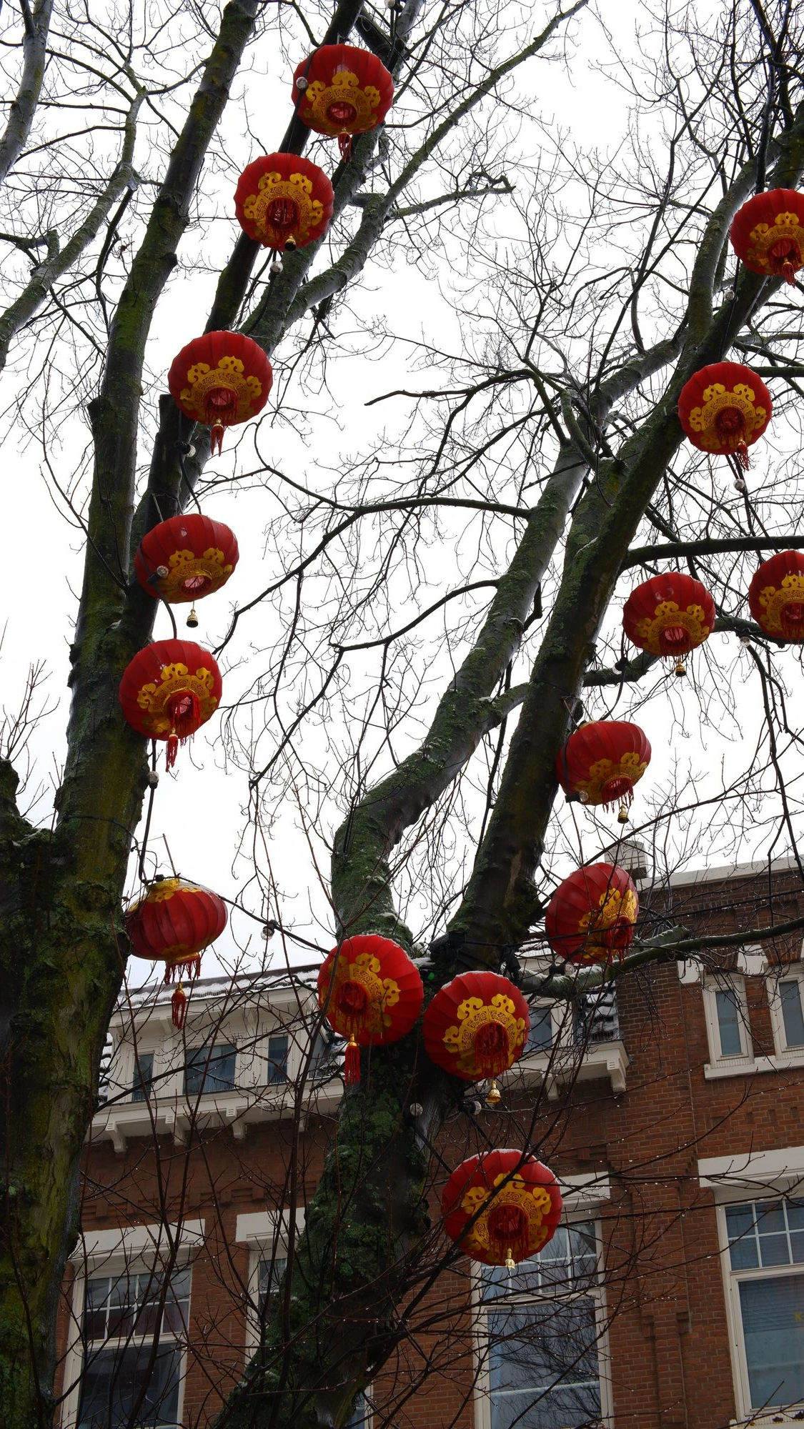 Red lanterns on bare tree.J