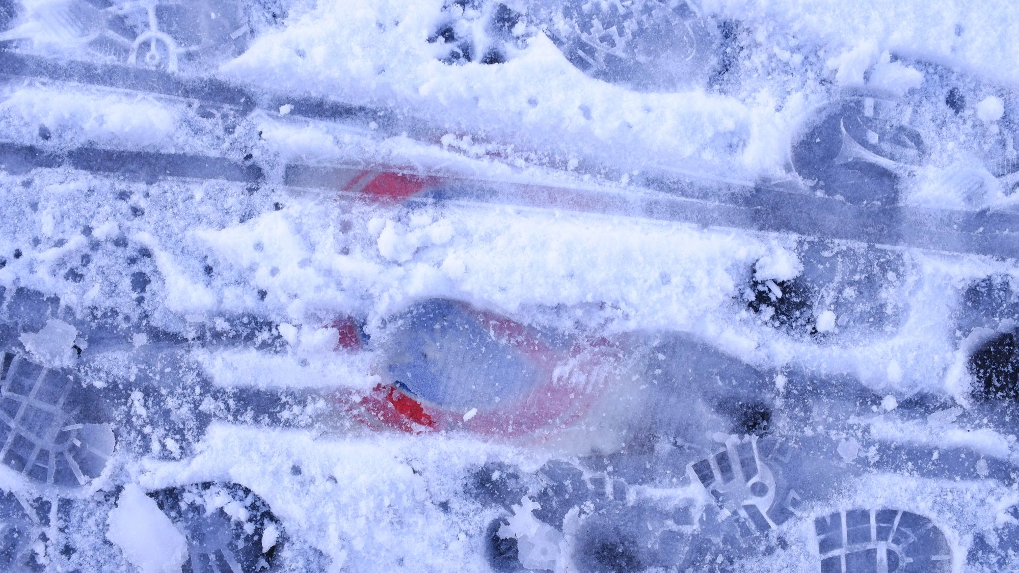 Sign frozen behind ice on the ground.J