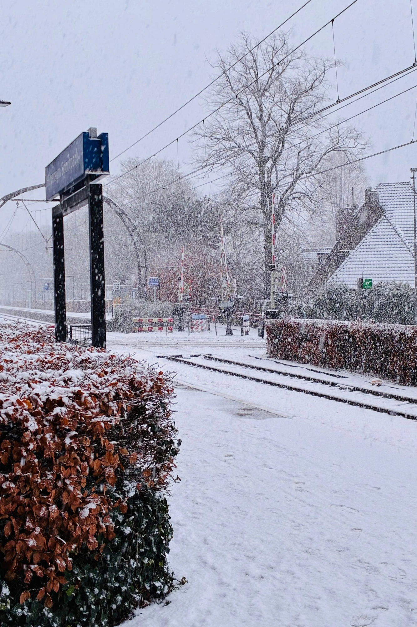 Train lines beside station in a snowstorm.J