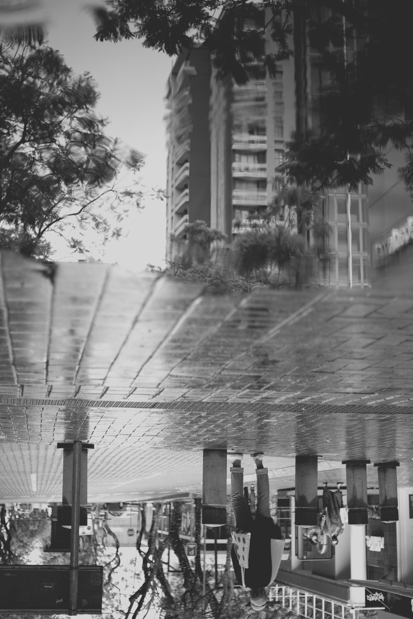 2021-12-19 - Rosebank, Johannesburg - Reflection of buildings in puddle.j